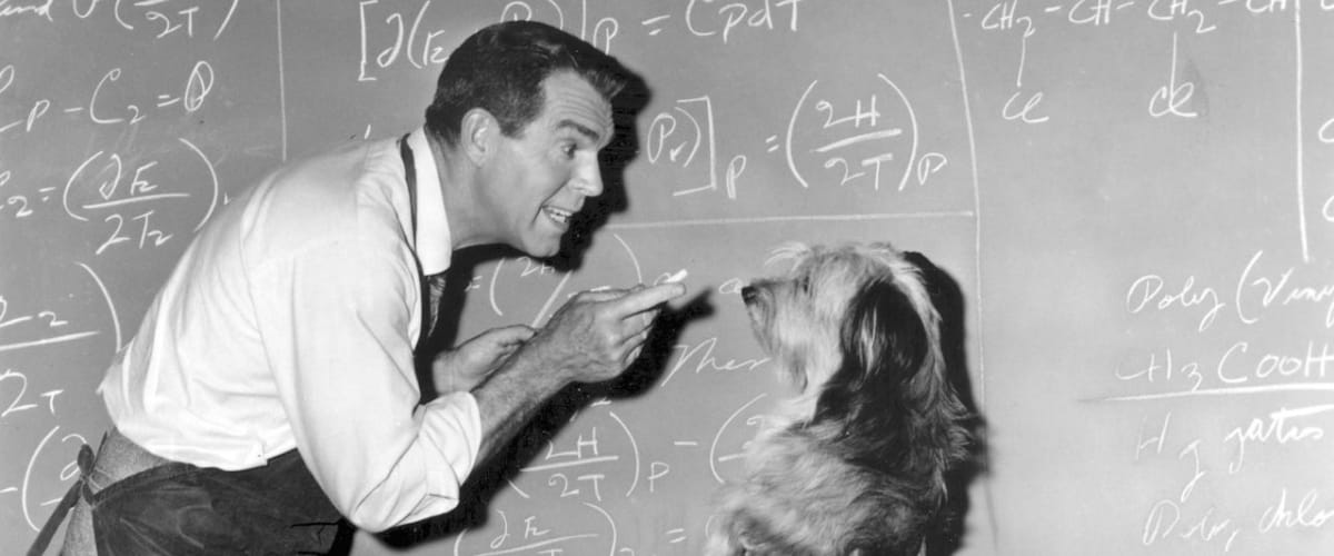 Watch The Absent Minded Professor