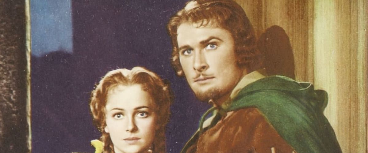 The Adventures Of Robin Hood