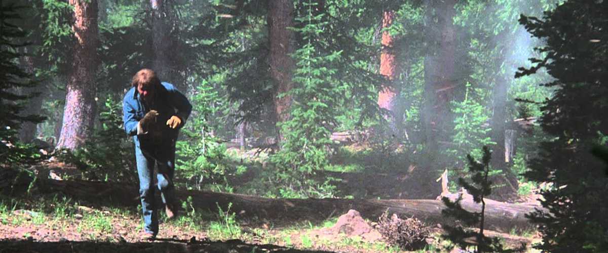 The Adventures of the Wilderness Family