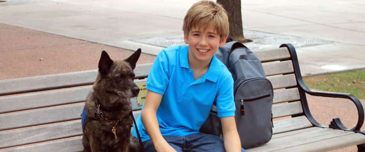 Watch The Amazing Wizard Of Paws