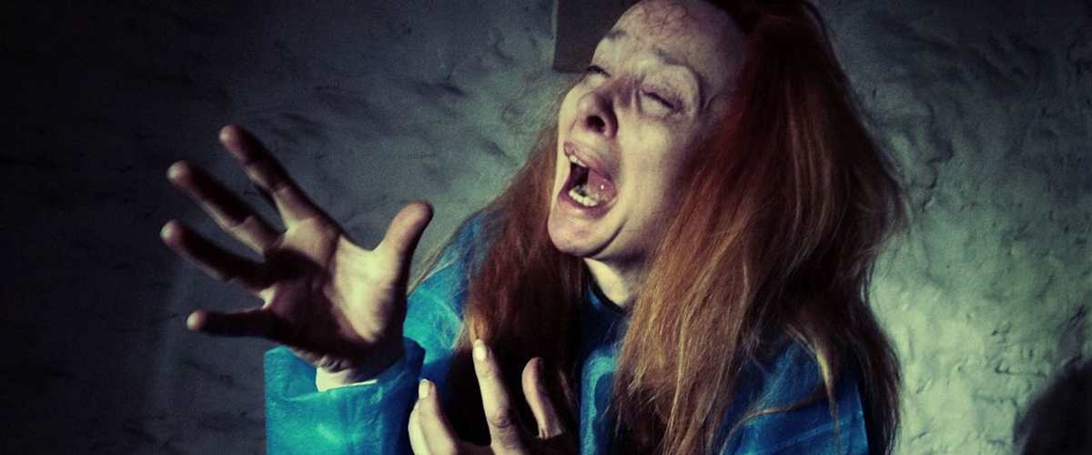 The Amityville Asylum