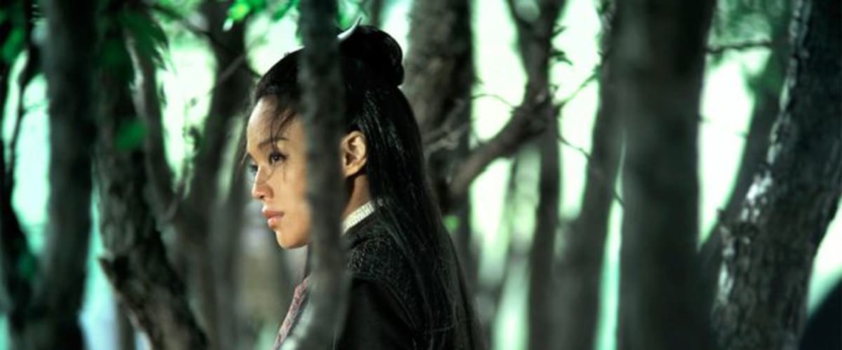 Watch The Assassin