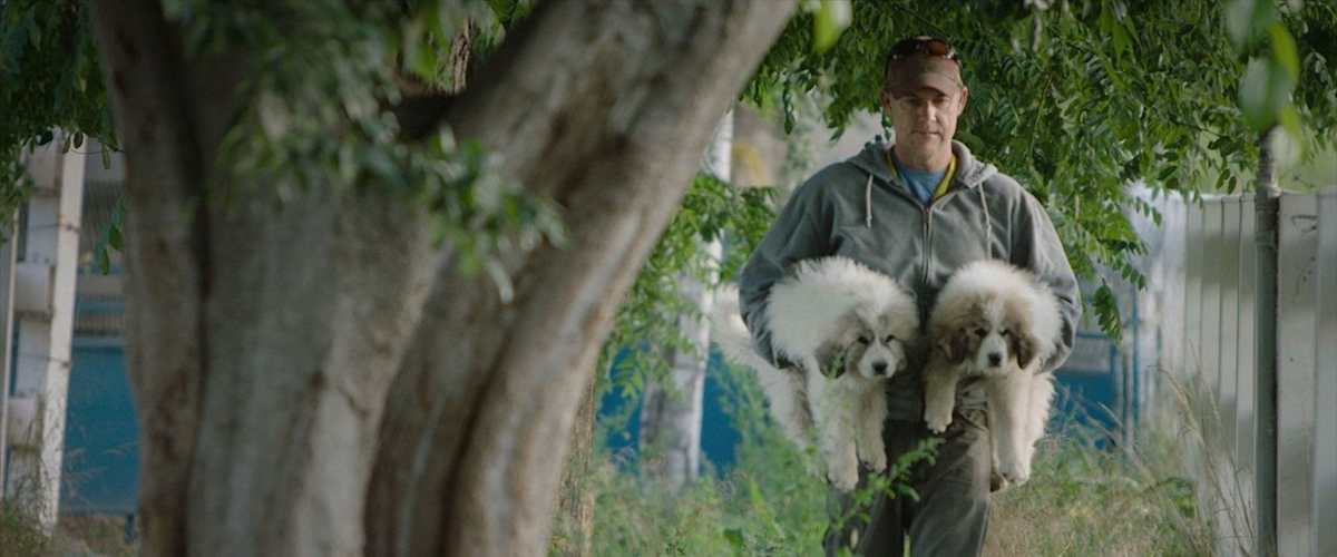 The Biggest Little Farm