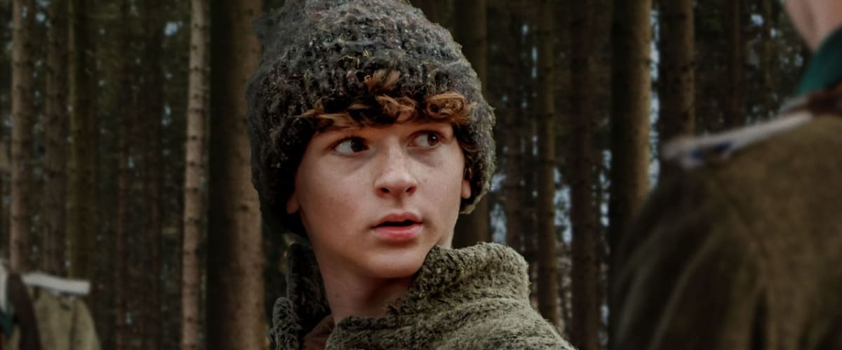 The Boy in the Woods