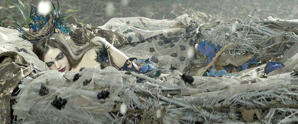 The Curse of Sleeping Beauty