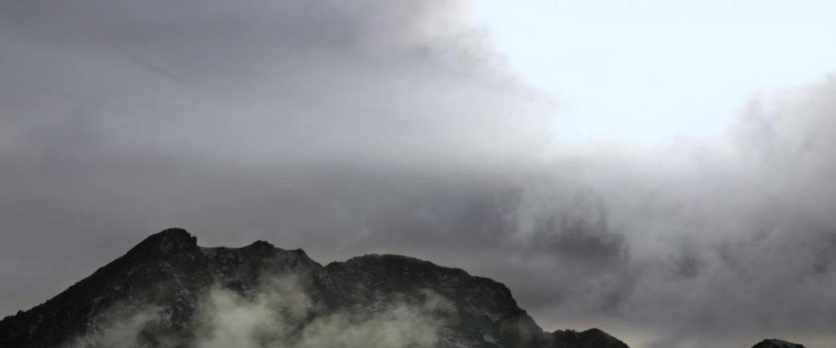 Watch The Dead and the Damned 3: Ravaged