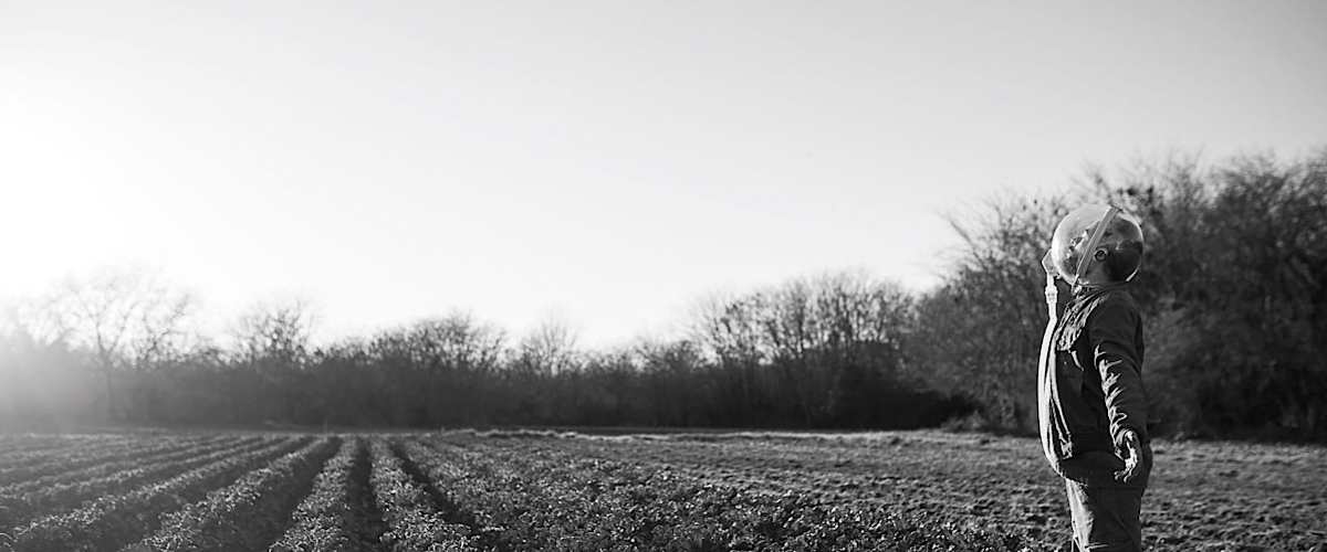 Watch The Dog Who Wouldn't Be Quiet