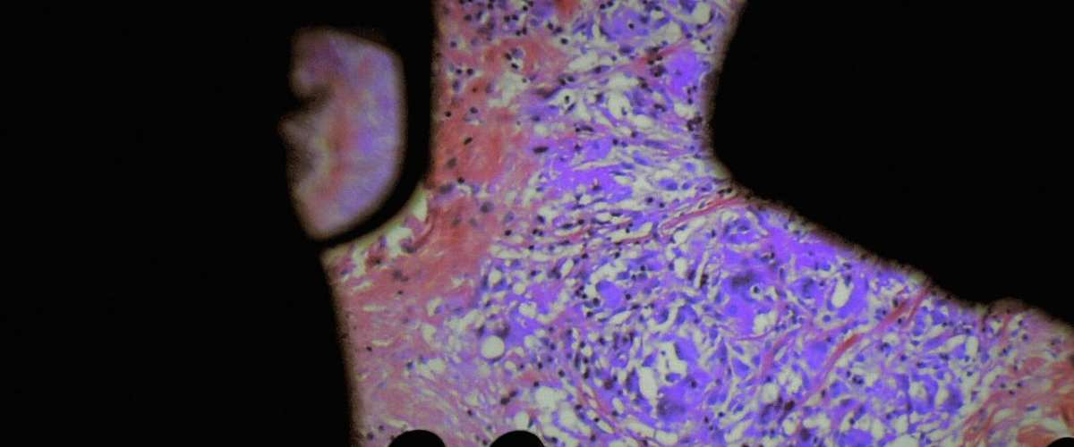 The Fabric of the Human Body