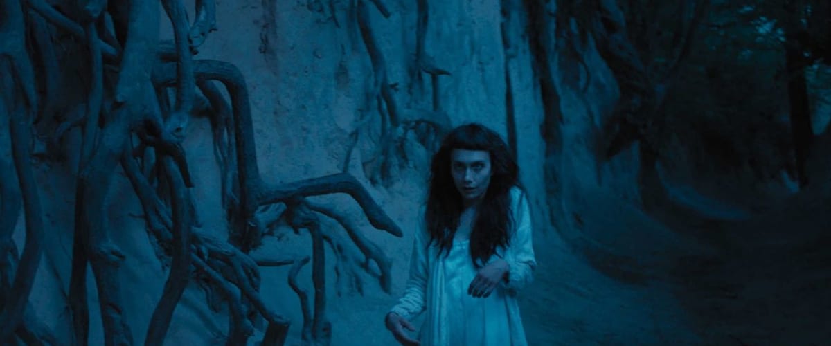 The Field Guide to Evil