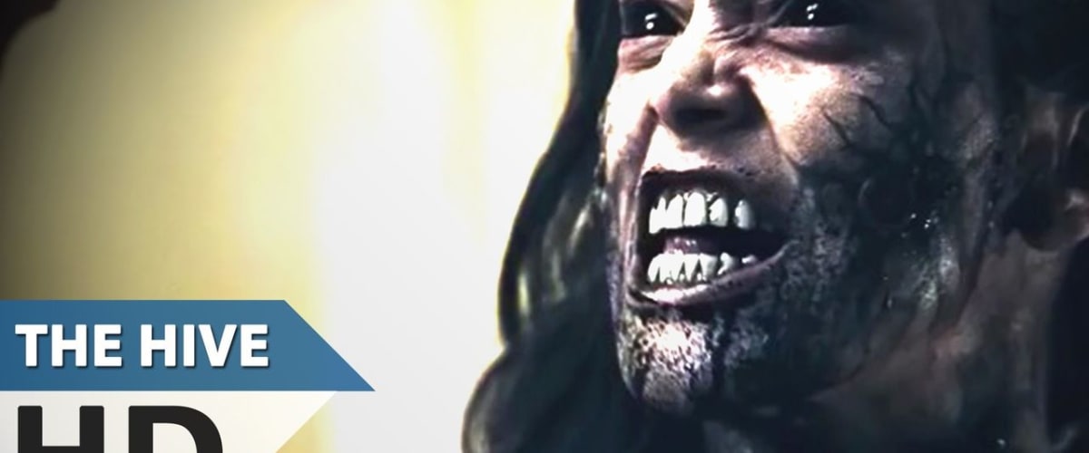 The Hive