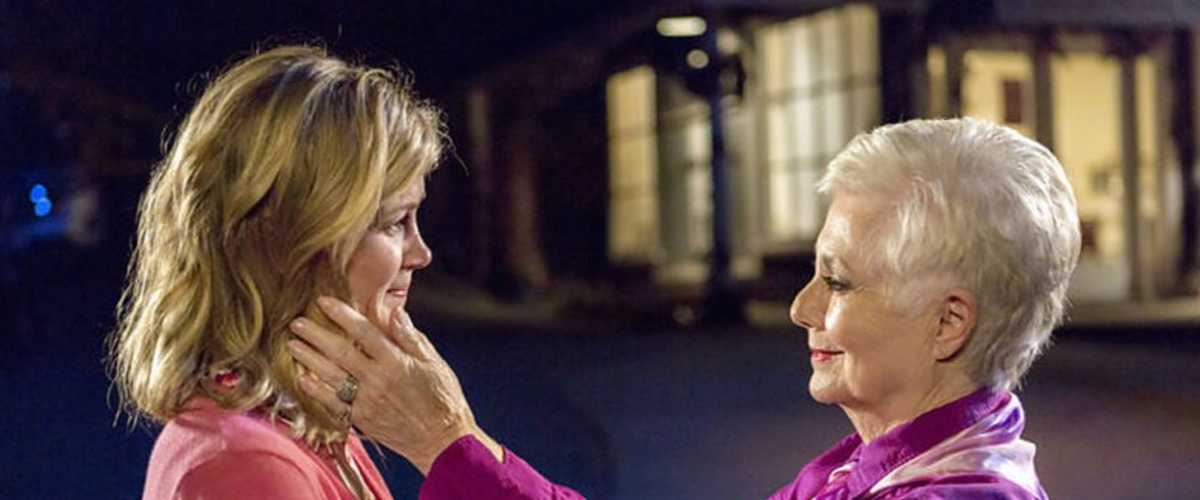 The Irresistible Blueberry Farm