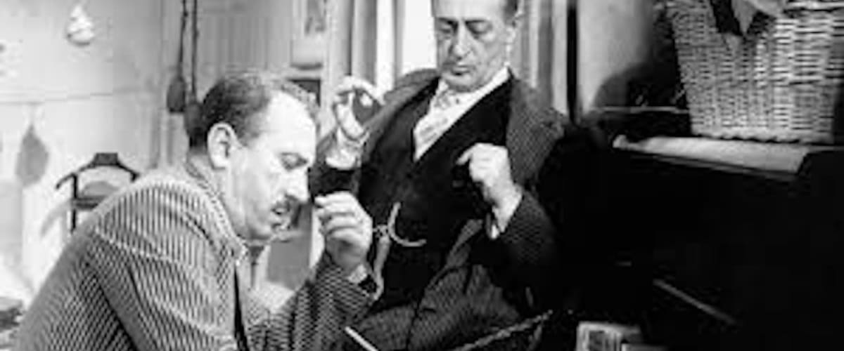 Watch The Lady Doctor