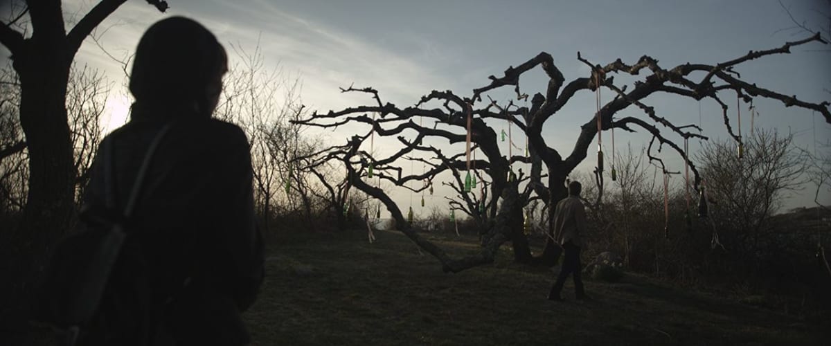 The Last Treasure Hunt