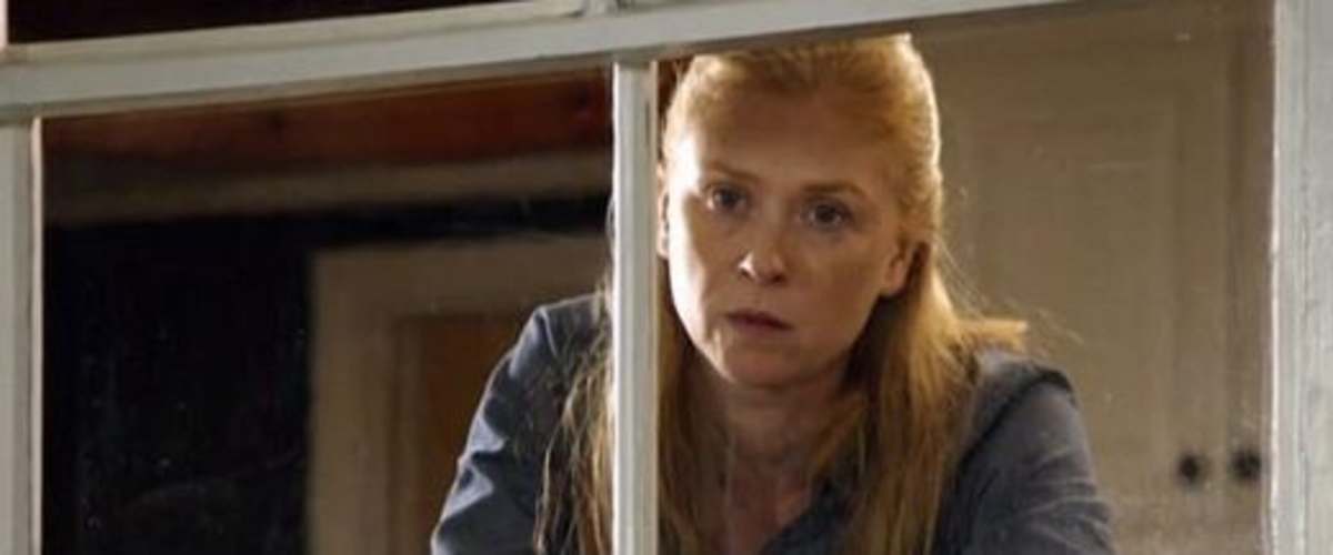 Watch The Maid (2016)