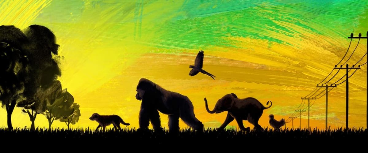 The One and Only Ivan