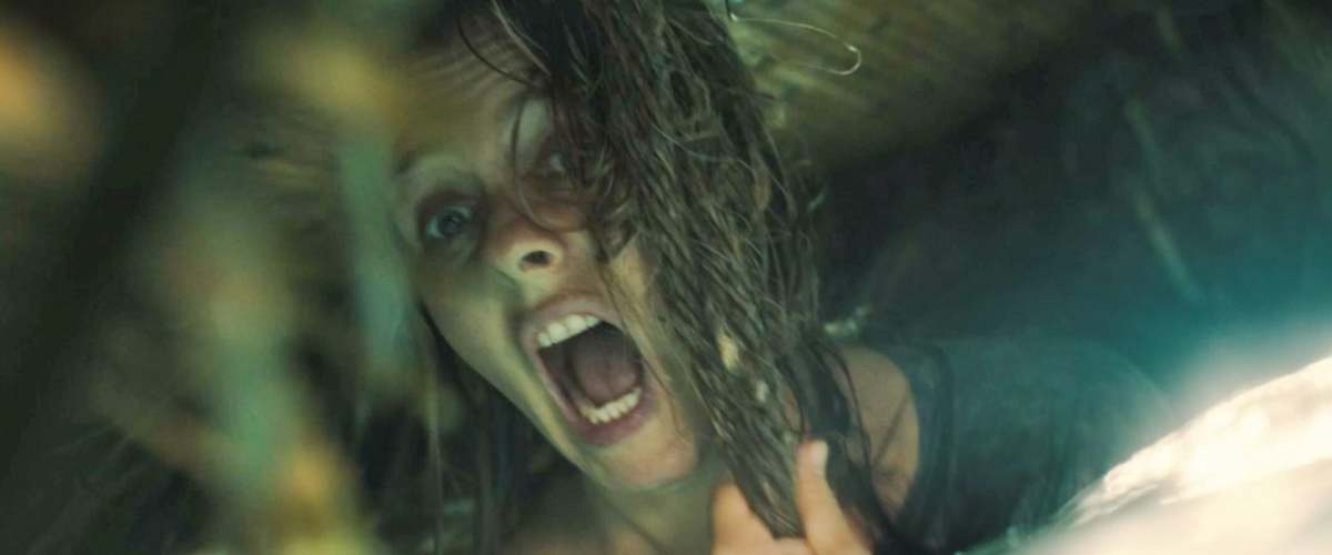 Watch The Requin