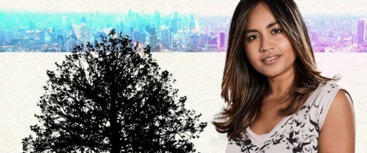 Watch The Secret Daughter - Season 1