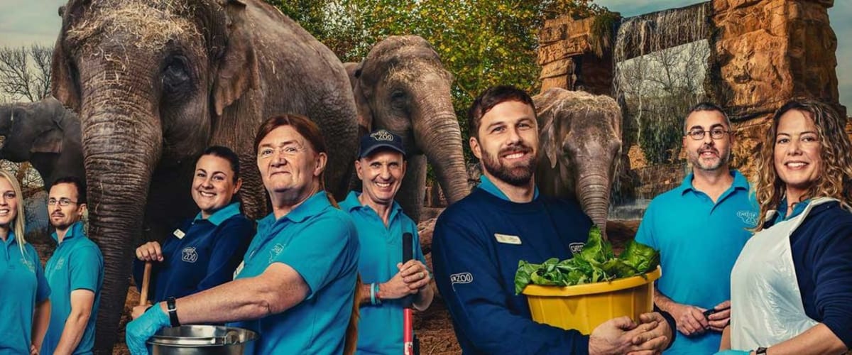 Watch The Secret Life of The Zoo - Season 3