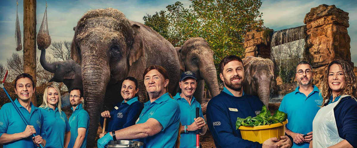 The Secret Life of The Zoo - Season 5