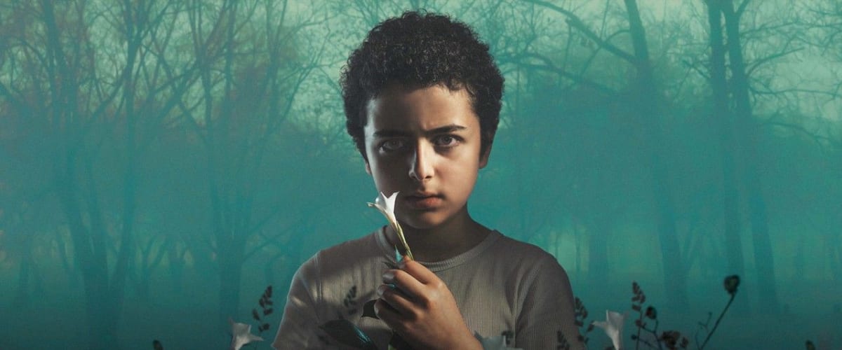 Watch The Sinner - Season 2