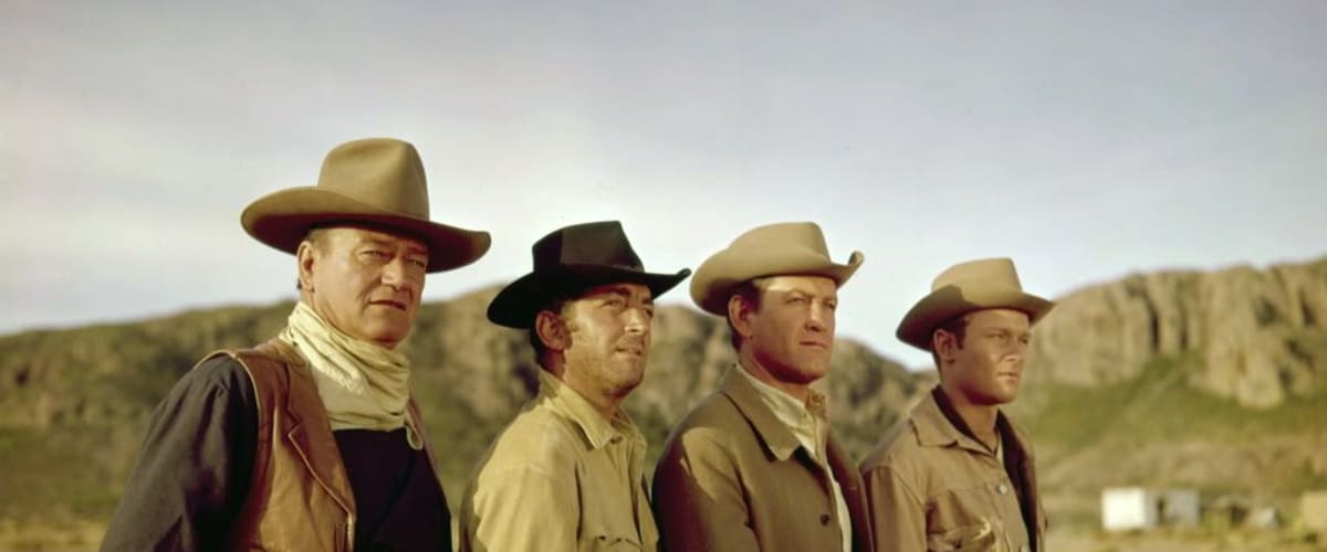 Watch The Sons of Katie Elder