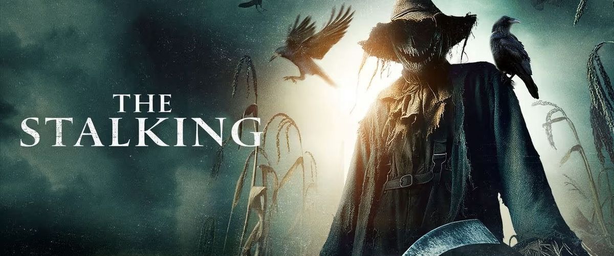 Watch The Stalking