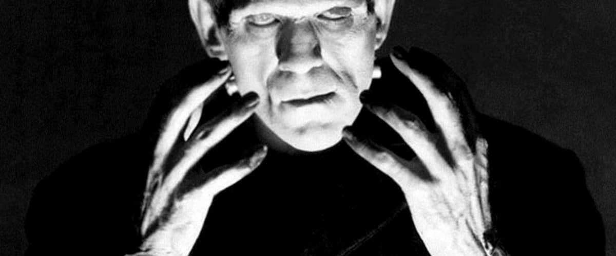 The Strange Life of Dr Frankenstein