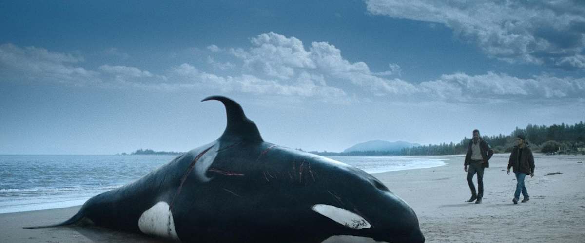 Watch The Swarm - Season 1