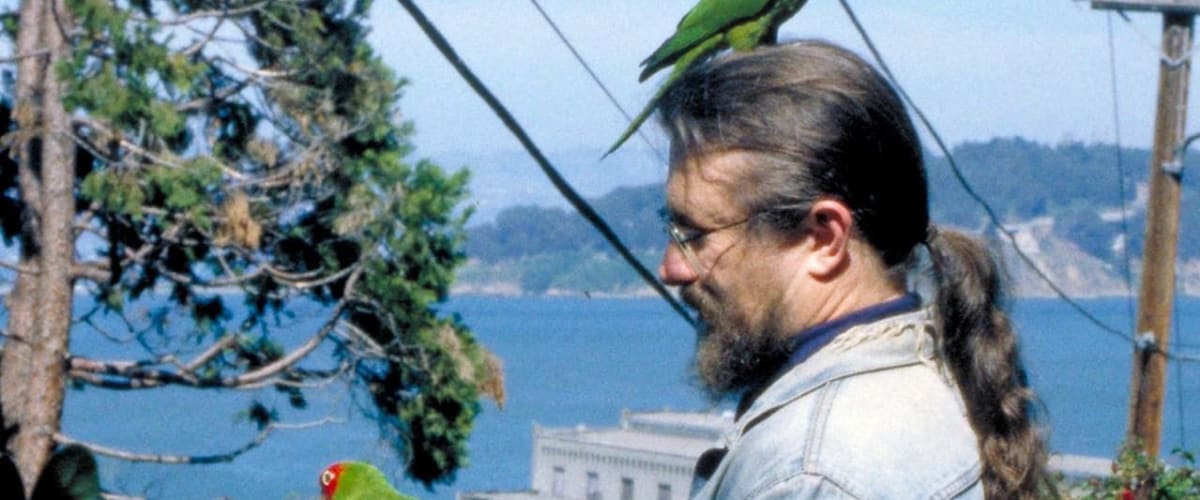 Watch The Wild Parrots of Telegraph Hill