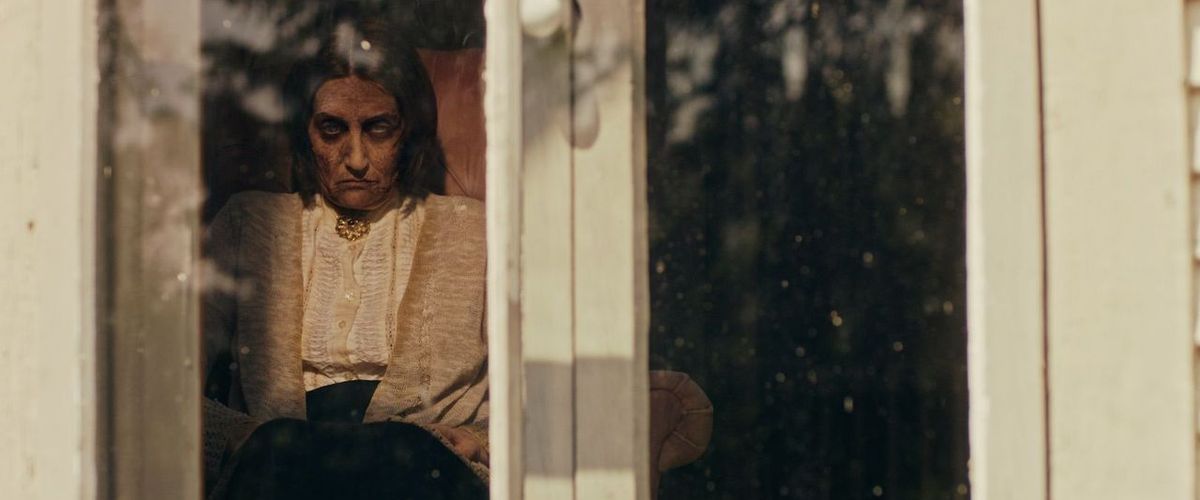 The Witch in the Window