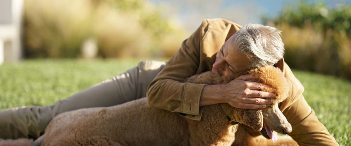 The World According to Jeff Goldblum - Season 2