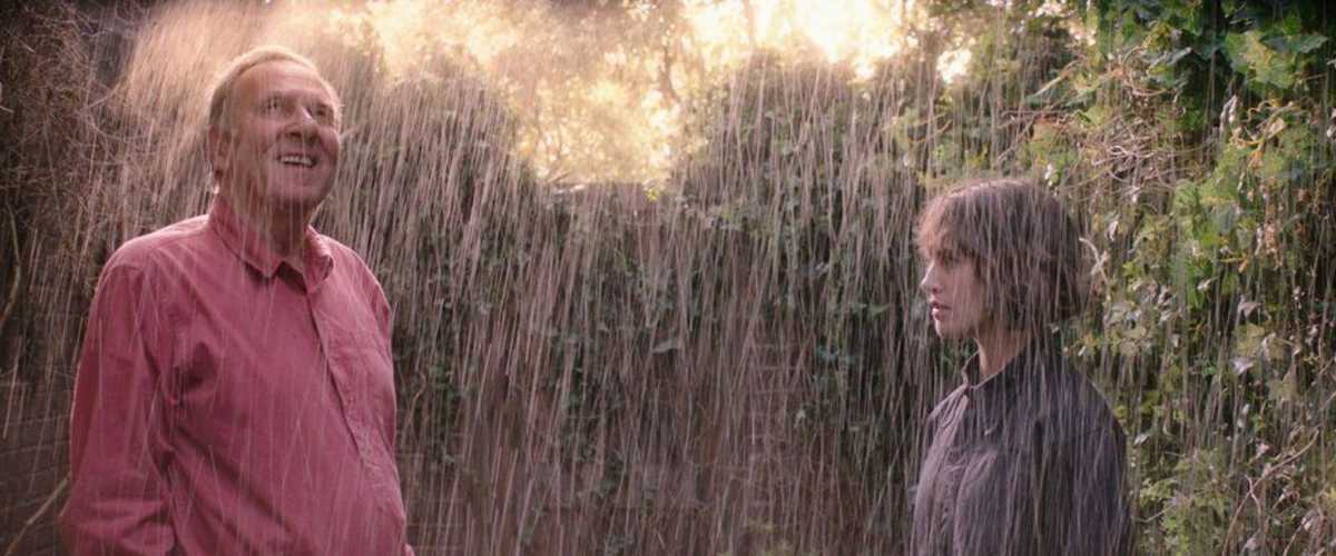 This Beautiful Fantastic