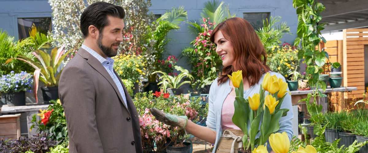 Watch True Love Blooms