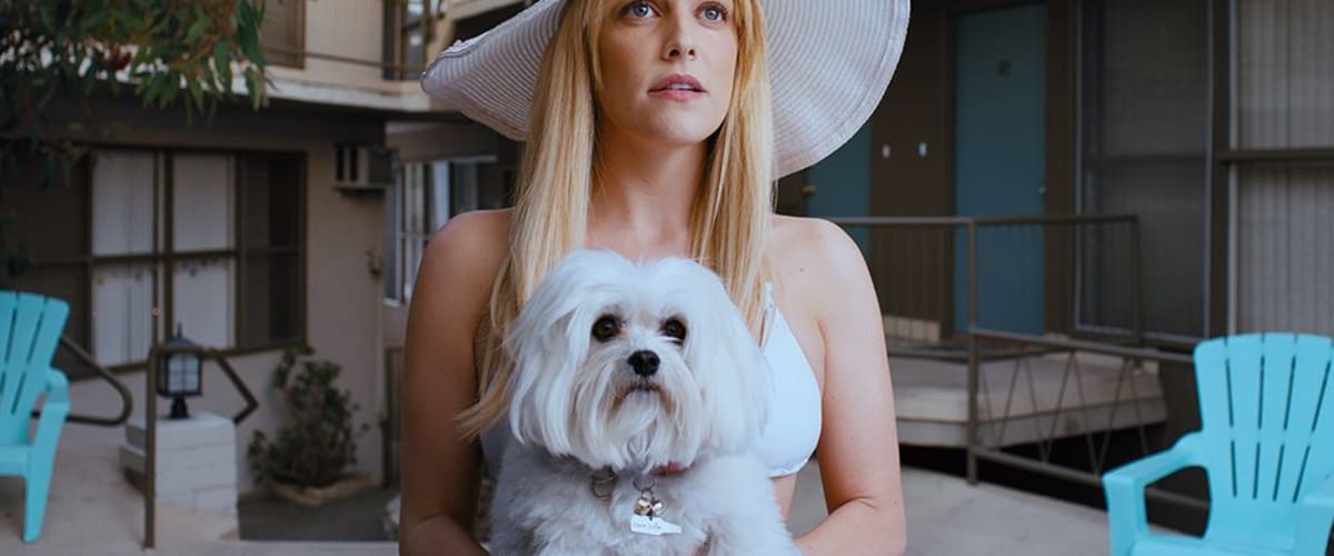 Under the Silver Lake