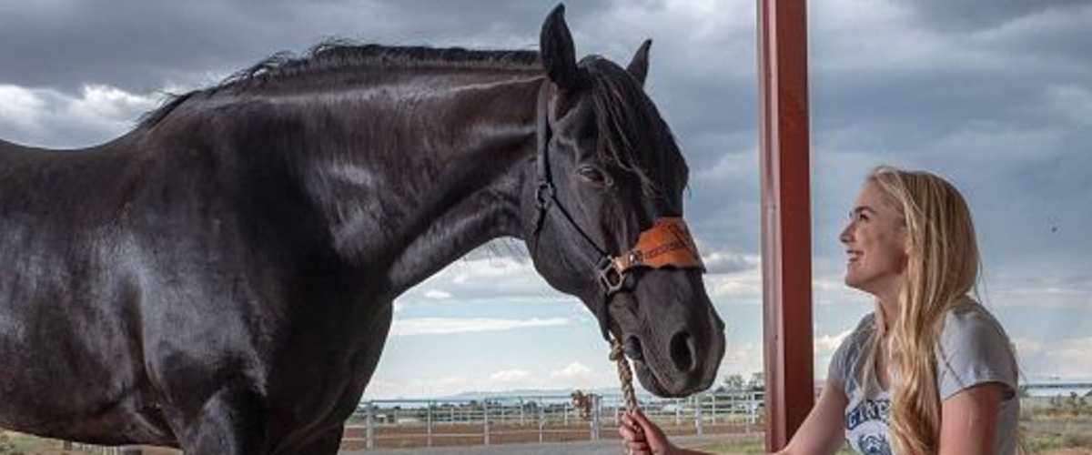 Watch Walk Ride Rodeo
