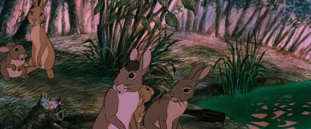 Watership Down