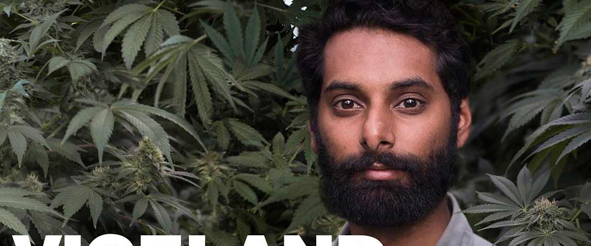 Weediquette - Season 2