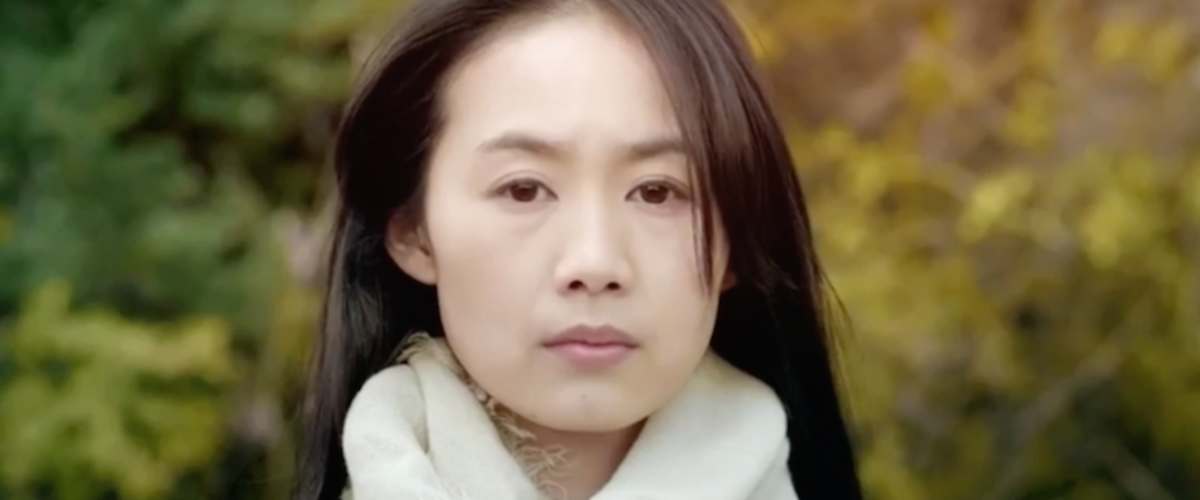 When the Meteor Shot Across the Sky