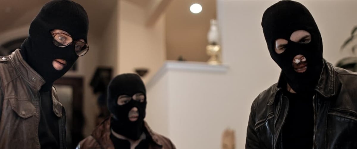 Watch Where Sleeping Dogs Lie