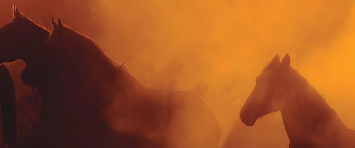 Wild Beauty: Mustang Spirit of the West