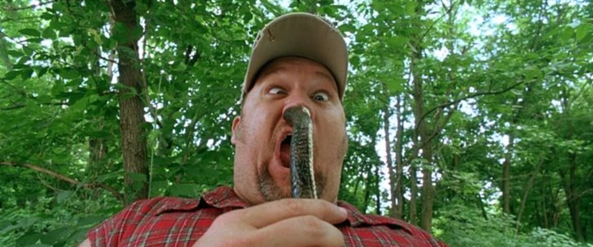 Watch Witless Protection