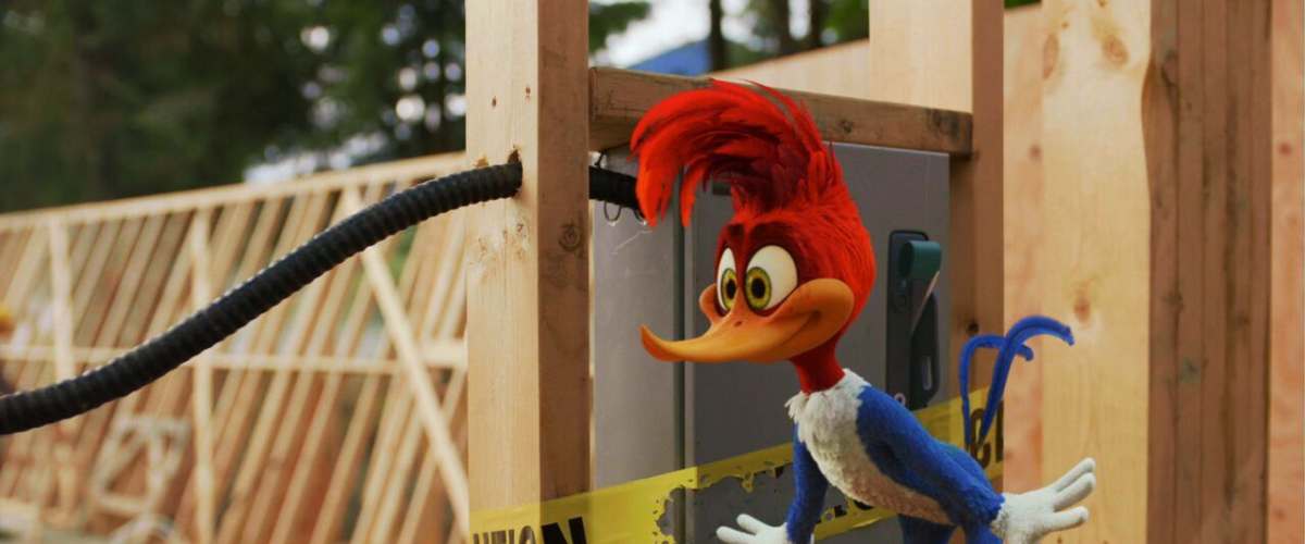Woody Woodpecker