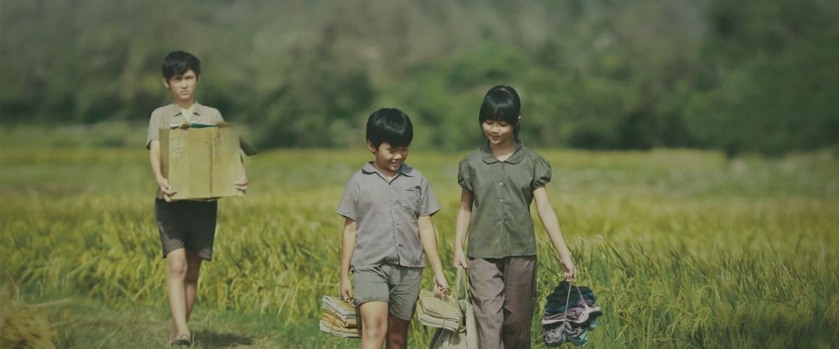 Yellow Flowers on the Green Grass