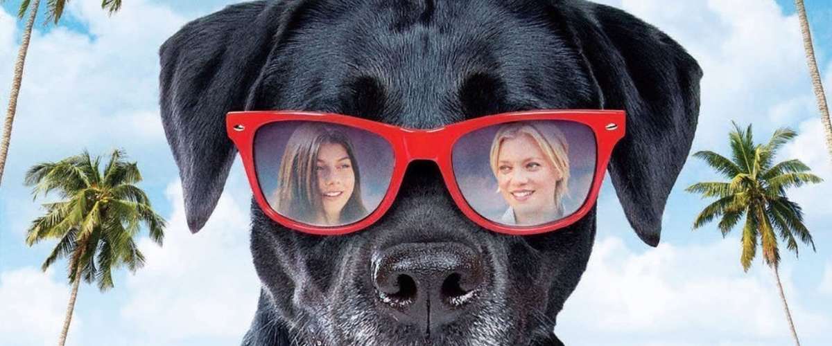 Watch Zoey to the Max