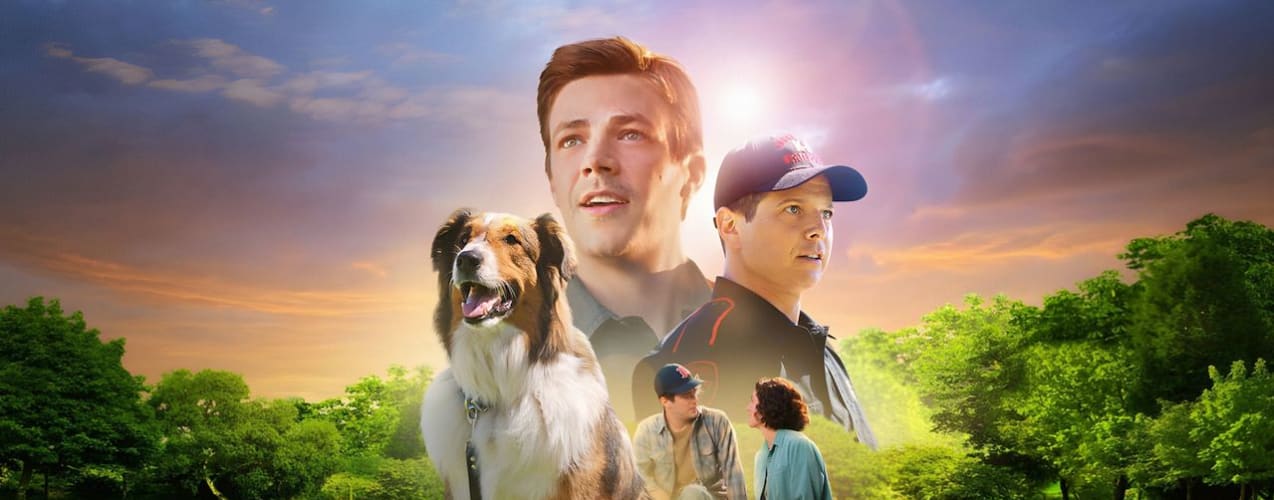 A dog's journey 123movies hot sale