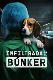 Undercover Inside the Bunker