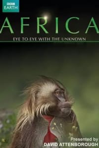 Africa (2013) - Season 01