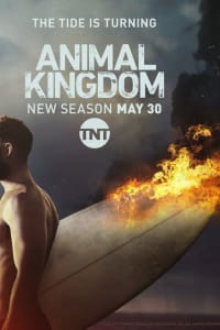 Animal Kingdom - Season 2