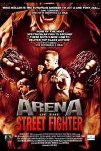 Arena of the Street Fighter
