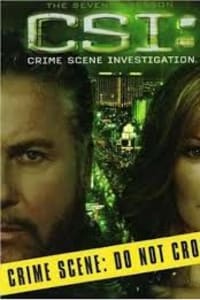 CSI - Season 7